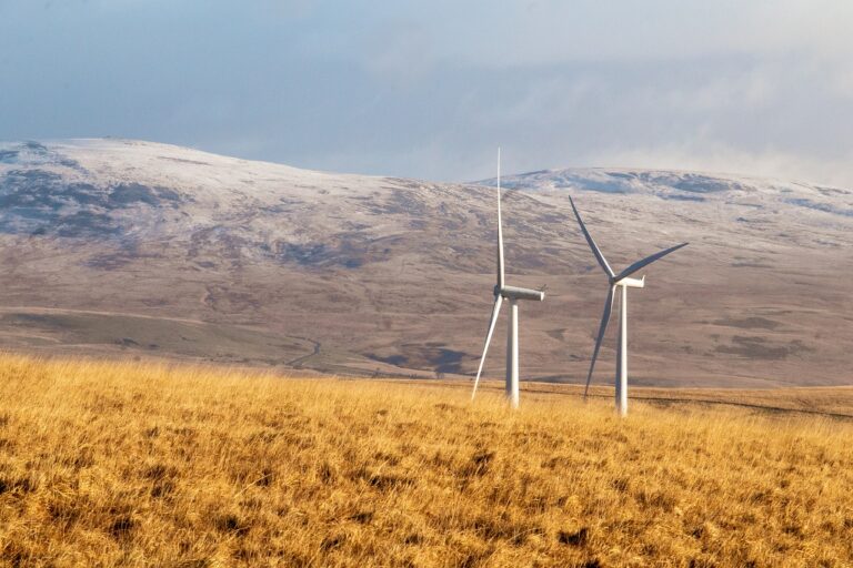 Globuli richtig anwenden für optimale Energie und Wirksamkeit