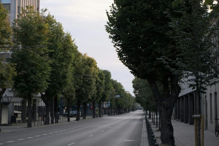 Globuli zur Linderung von PMS-Beschwerden und Verbesserung der Stimmung