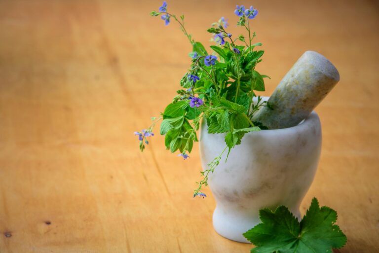 Homöopathie Definition leicht erklärt: Grundlagen und Anwendungen Beitragsbild zur Definition der Homöopathie und ihren Anwendungen in der alternativen Medizin