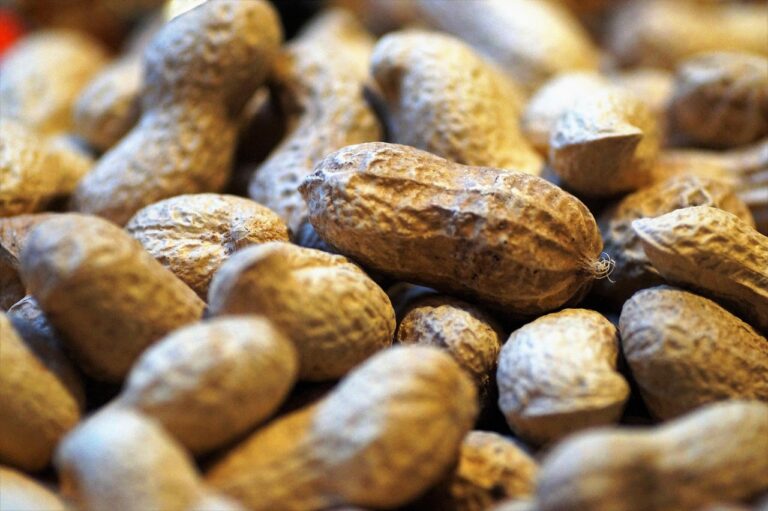 Potenz von Globuli bei Allergien: Wirkung und Anwendung verstehen