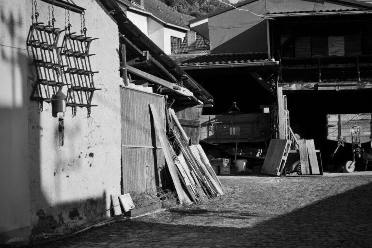 Optimale Potenz Lagerung von Globuli für maximale Wirksamkeit und Erhalt der Heilkräfte