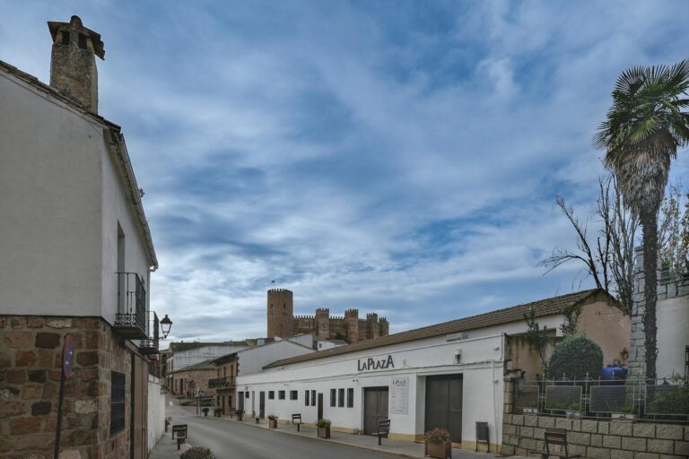 Beitragsbild zur homöopathischen Wirkung von Potenz Pulsatilla und ihren Anwendungsgebieten