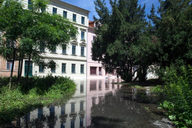 Globuli gegen Reizüberflutung für innere Ruhe und Stressabbau entdecken