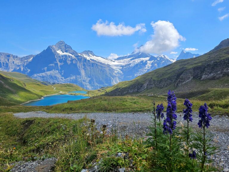 Globuli Schock Aconitum helfen bei Angst und Stressbewältigung