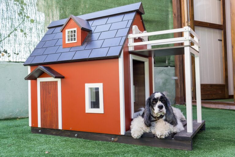 Hund entspannt im Garten mit natürlichen homöopathischen Globuli zur Gesundheitsförderung