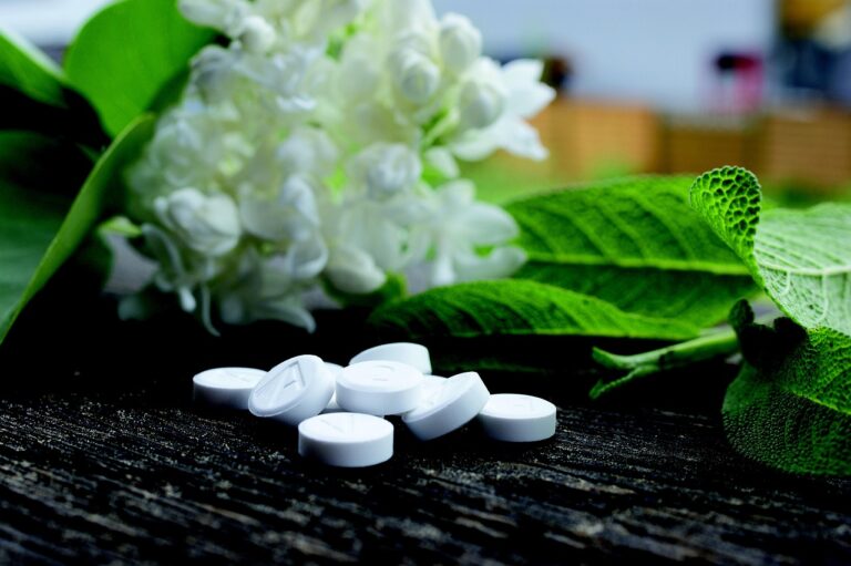 Homöopathie Einsteiger PDF zum Download für den sanften Einstieg Downloadbares Homöopathie Einsteiger PDF für sanften Einstieg in Naturheilkunde