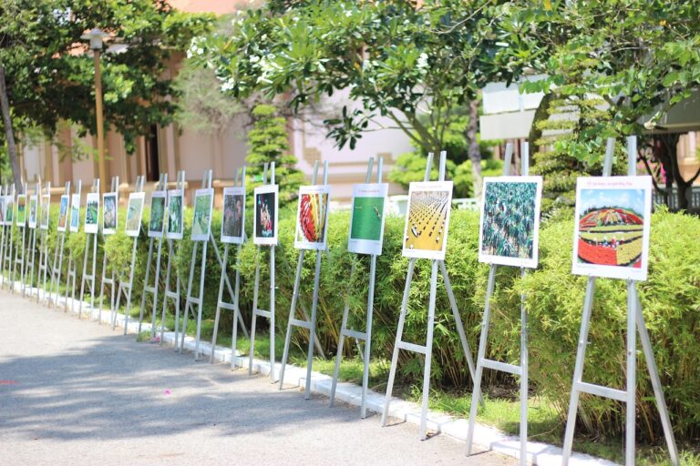 Homöopathische Potenzen D und C Unterschiede Wirkweise Anwendung und Verdünnung